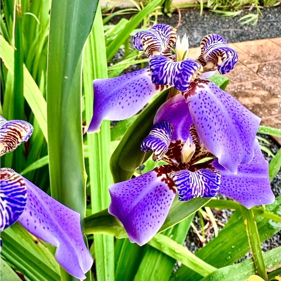 Meet your Posher - Picture 11 of 12